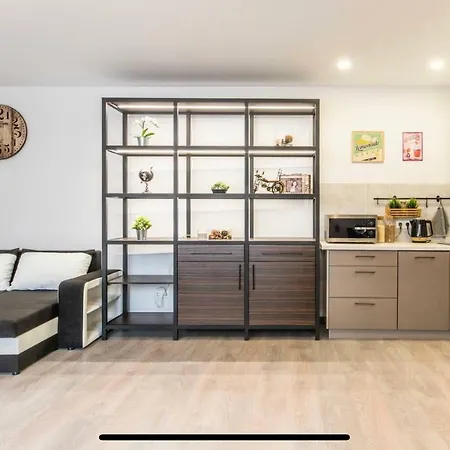 Διαμέρισμα 4 Person Center Studio. Ρίγα